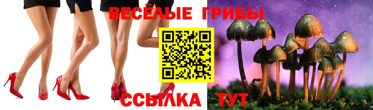 Галлюциногенные грибы мухоморы  Галлюциногенные грибы MAGIC MUSHROOMS  Ульяновск  Вход с VPN 